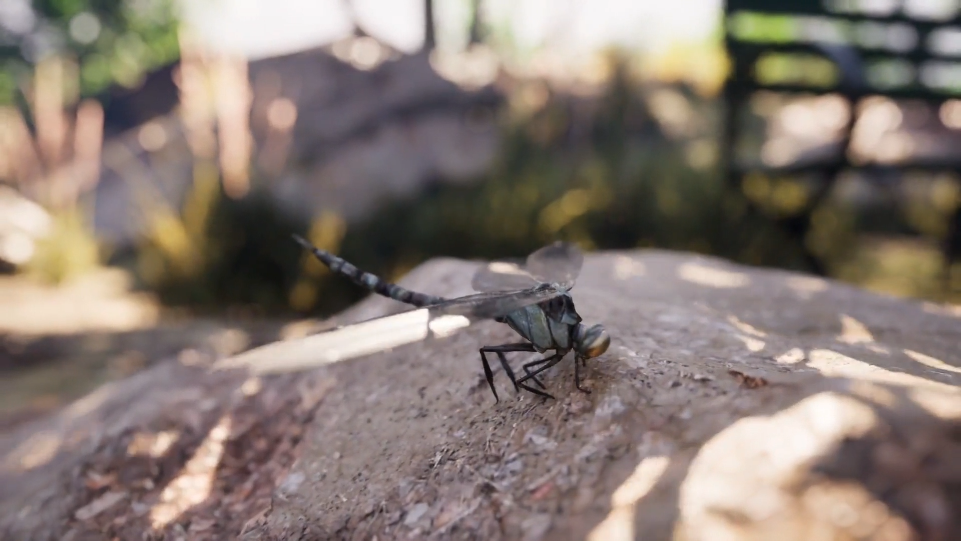 A dragonfly landing on a rock, created in Unreal Engine 